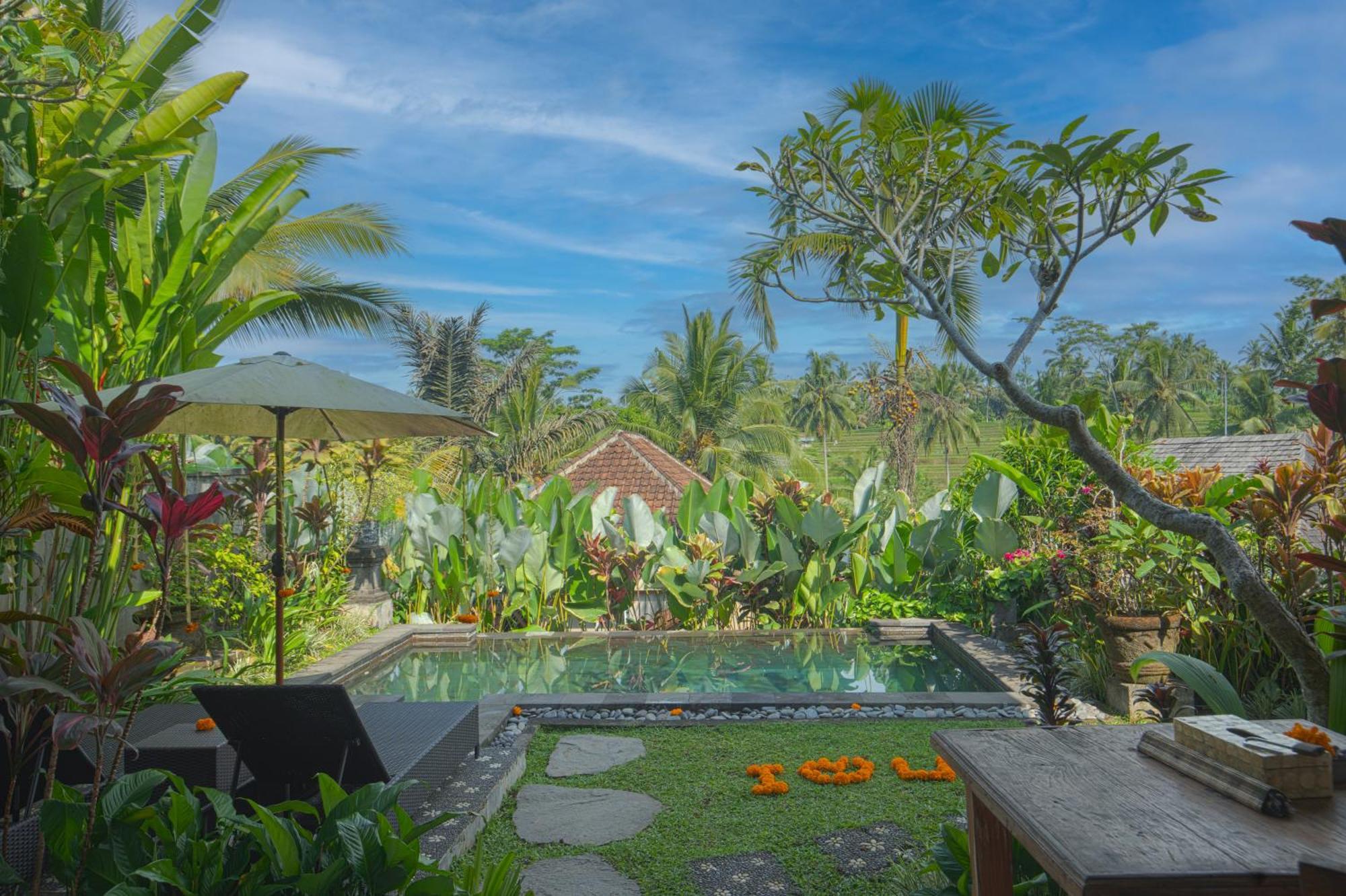 Taluh Bebek Ubud Private Villas المظهر الخارجي الصورة