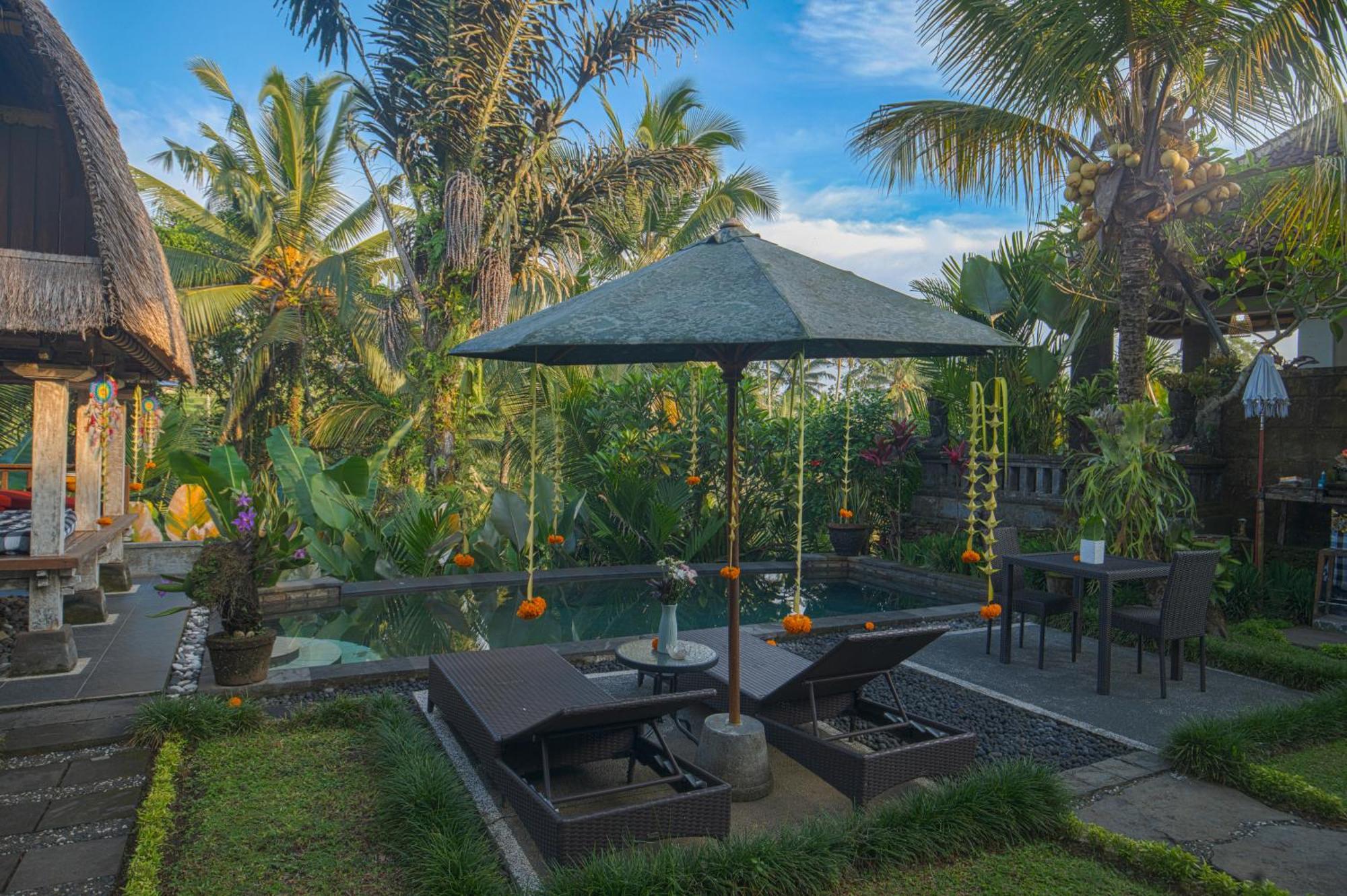 Taluh Bebek Ubud Private Villas المظهر الخارجي الصورة