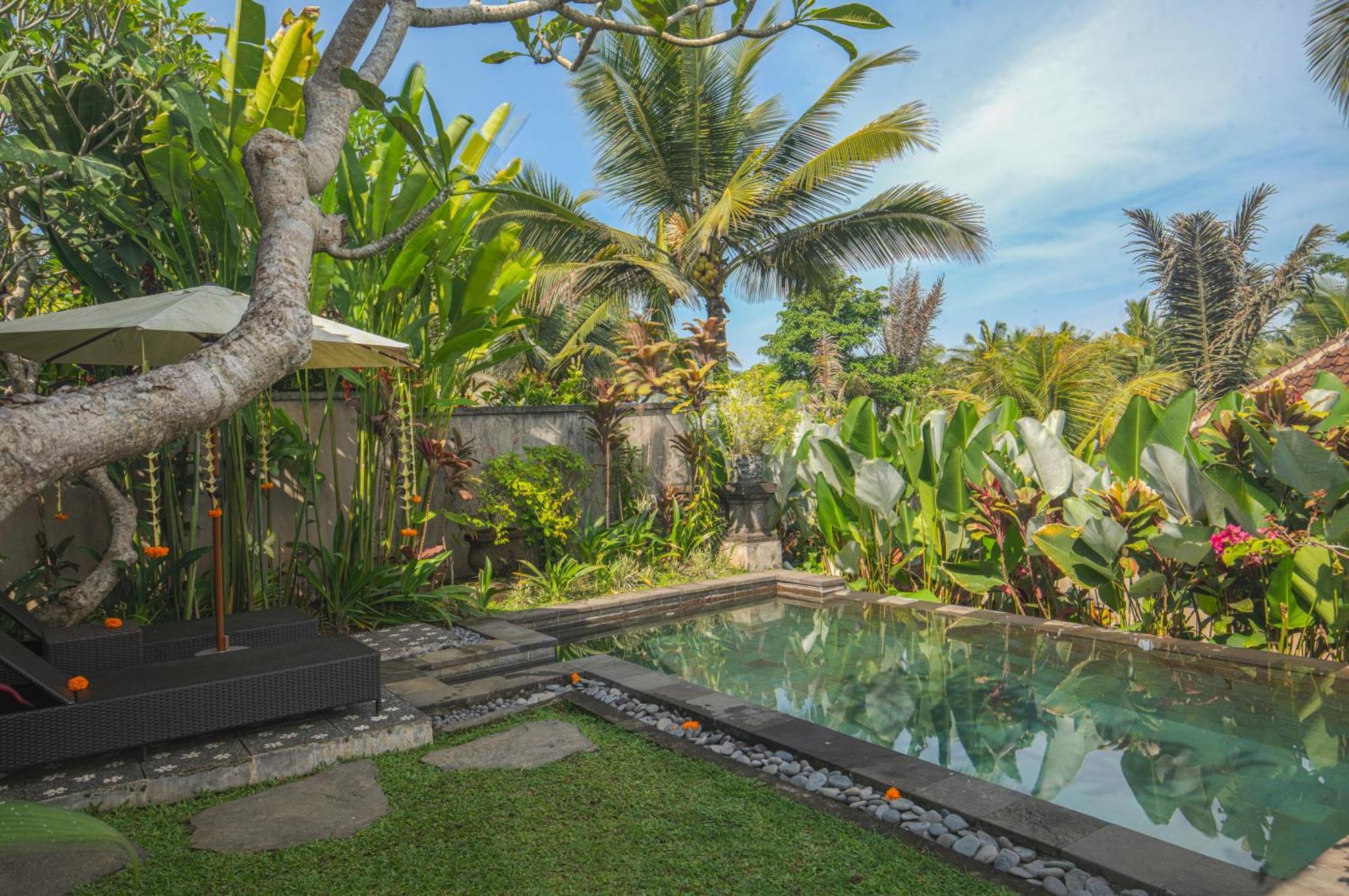 Taluh Bebek Ubud Private Villas المظهر الخارجي الصورة