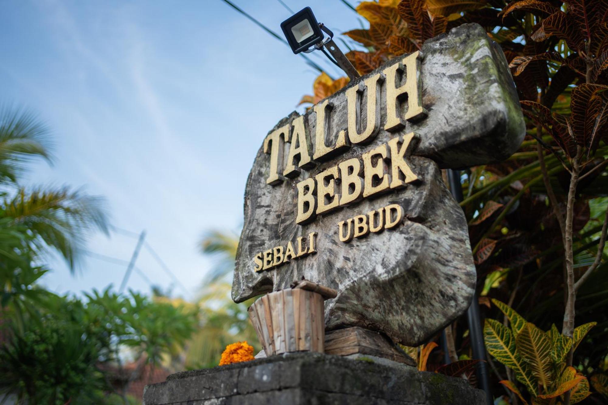 Taluh Bebek Ubud Private Villas المظهر الخارجي الصورة