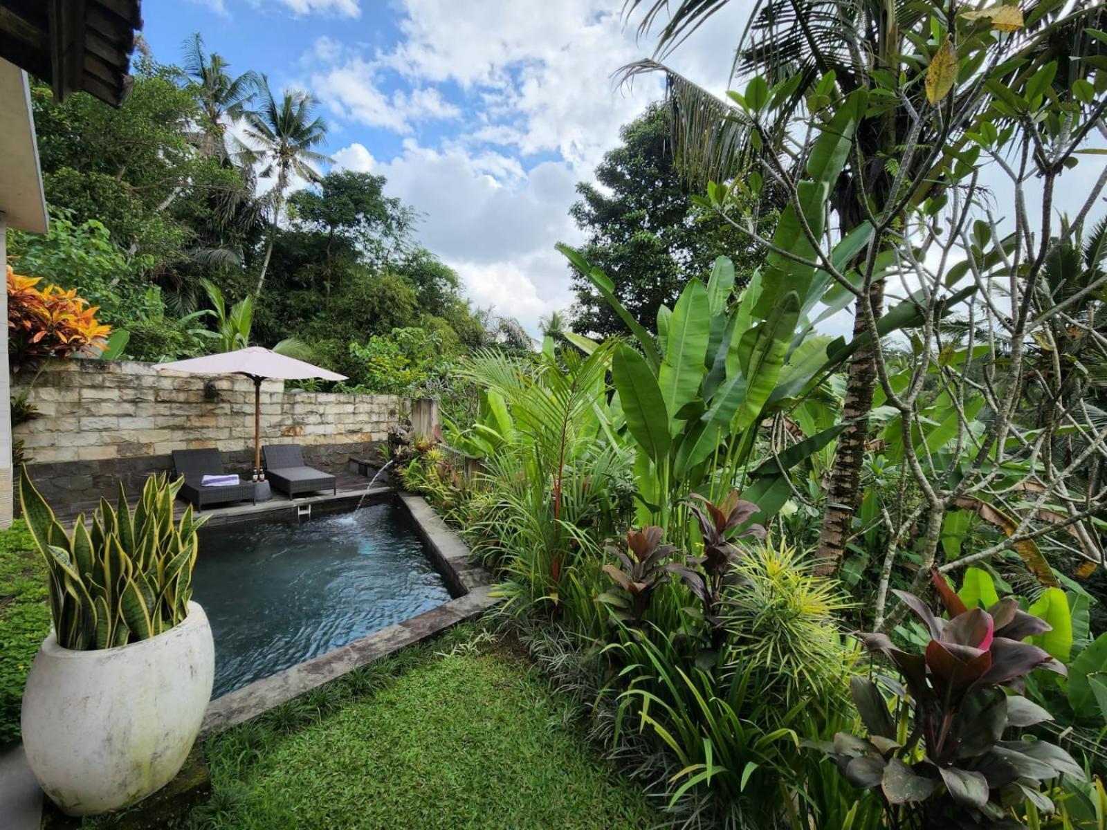 Taluh Bebek Ubud Private Villas المظهر الخارجي الصورة